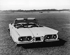 Grass Area Collection: 1959 Ford Thunderbird