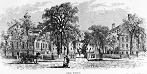 Yard Prints: 19th Century View of Harvard College