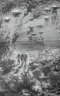Jules Verne Prints: 20, 000 Leagues Under Sea Illustration