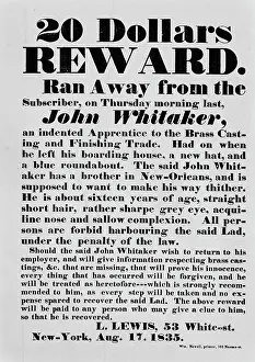 20 Dollars Reward For John Whitaker
