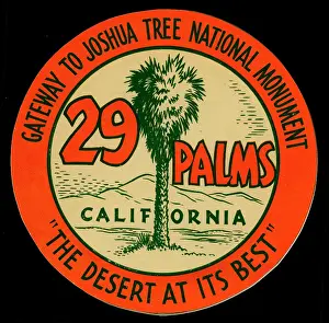 Stylize Prints: 29 Palms