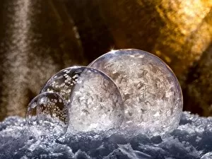 Images Dated 9th January 2014: 3 frozen bubbles