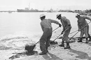 Santa Barbara Prints: 3 Men Rake Hay @ Oil-Soaked Waterline