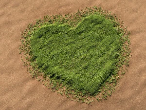 Images Dated 27th June 2011: 3d-visualisation of a heart-shaped grass area on a sandy surface
