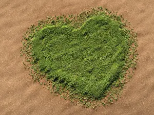 Shape Prints: 3d-visualisation of a heart-shaped grass area on a sandy surface