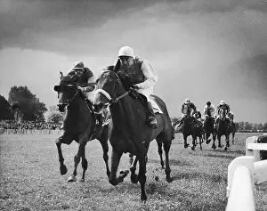 Racehorse Prints: Up From Down Under