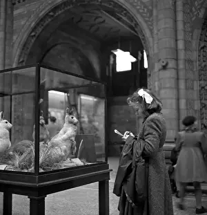 Museums And Libraries Prints: Keep Still Please