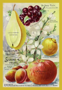 Garden Prints: 5 Grand Fruits