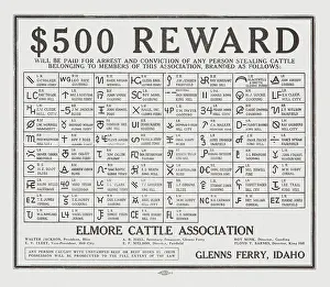 Bovine Prints: $500 Reward Elmore Cattle Association