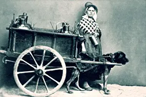 521, adult, antique, black & white, canine, cart, caucasian, dog, eye contact, female
