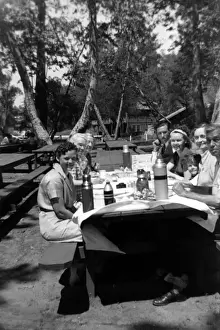 Picnic Prints: 522, caucasian, family, females, historical, men, males, park, picnic, adults, women