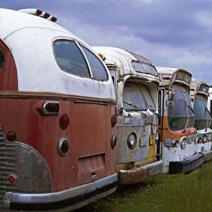 David Henderson Photography Gallery: abandoned, automobiles, buses, california, corrosion, day, dilapidated, neglected
