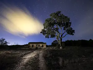 Abandoned dilapidated old farmhouse with a large tree beside it a night sky with stars