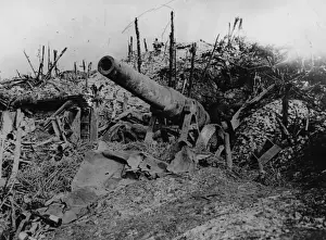 Abandoned Gun