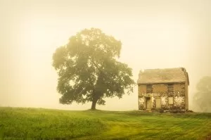 Derelict Buildings Gallery: Abandoned House: Rural foggy landscape photograph of a rundown house in a meadow