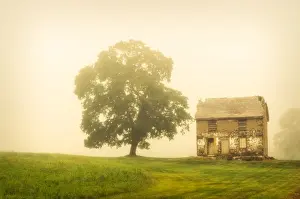 Abandoned House: Rural foggy landscape photograph of a rundown house in a meadow