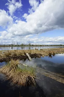 Abandoned peat cutting area with reflection of clouds, Stammbeckenmoor near Raubling, Alpine Uplands, Bavaria, Germany