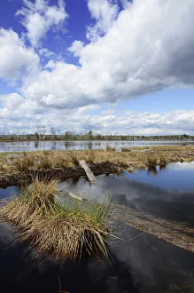 Images Dated 12th April 2012: Abandoned peat cutting area with reflection of clouds, Stammbeckenmoor near Raubling