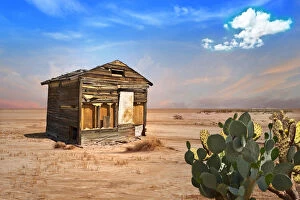 Images Dated 25th March 2016: Abandoned Shack in Desert with Prickly Pear Cactus in Foreground