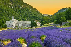 Images Dated 18th July 2012: Abbaye de Senanque in Provence with lavander fields