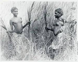 Grassland Prints: Aborigine Girls Playing in the Bush
