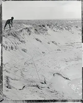 Landforms Prints: Aborigine Spearing Lizard