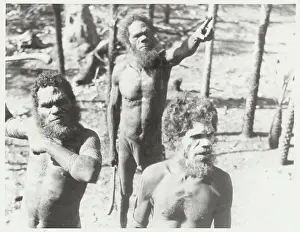 Aborigines