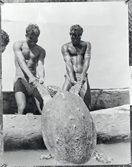 Turtle Prints: Aborigines Hauling Giant Turtle