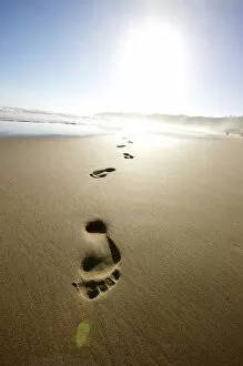Images Dated 20th December 2009: absence, beach, beauty in nature, bright, day, eastern cape province, footprint, horizon