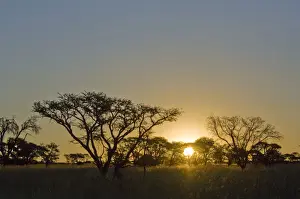 absence, beauty in nature, copy space, horizon over land, horizontal, idyllic, landscape