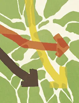 Environmental Prints: Abstract Pattern with Arrows