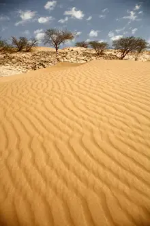 Abu Dhabi Prints: Abu Dhabi, Al Ain, Arid Climate, Arid Landscape, Asia, Capital Cities, Cloud, Color Image