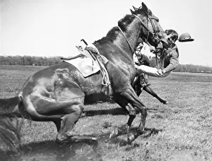 Pilgrim Prints: Accident With Horses; Horse Race