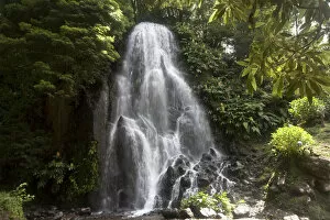 Rain Forest Gallery: Achada waterfall, Achada, Sao Miguel, Azores, Portugal