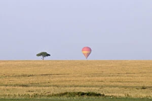 Aerial Collection: activity, adventure, aerial, african plains, balloon, balloon safari, color image