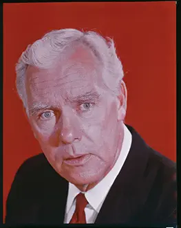 Actor Warner Anderson