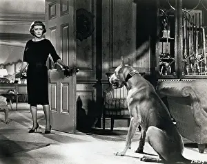 Actress Bette Davis in Dead Ringer