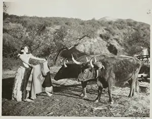 Temptation Prints: Actress Dolores Del Rio Tempting Two Farm Oxen