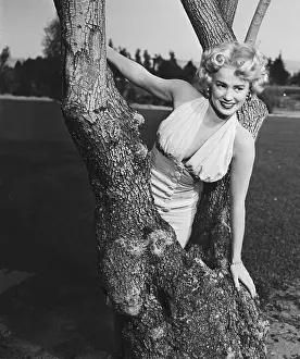 Actress Mamie Van Doren Posing Inside Tree Limbs