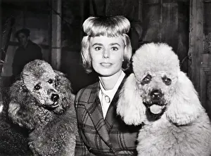 Actress with Poodle Cut and Two Poodles