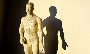 Images Dated 3rd February 2010: Acupuncture figure with shadow