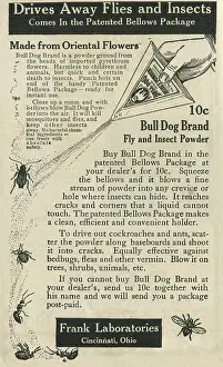 Retail Trade Prints: Ad For Bull Dog Insect Powder