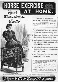 Advertisement For Horse; Home Excercise