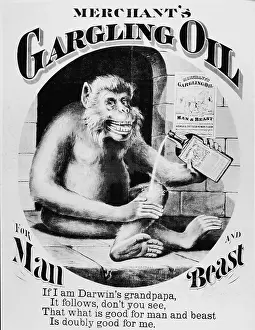 Advertisement for Merchant's Gargling Oil