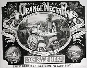 Soft Drink Prints: Advertising Poster For Orange Nectar