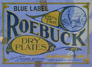 Advertisement for Roebuck Photographic Dry Plates