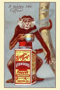 Product Prints: Ad For Schnull & Krag's Standard Roasted Coffee