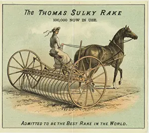 Advertisement for the Thomas Sulky Rake