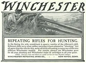 Ammunition Prints: Ad For Winchester Rifles