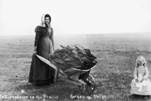 Ada McColl